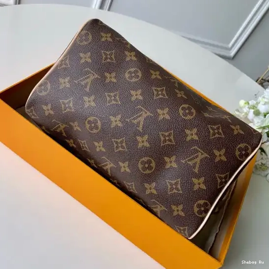 Vuitton 25 Louis SPEEDY 0606